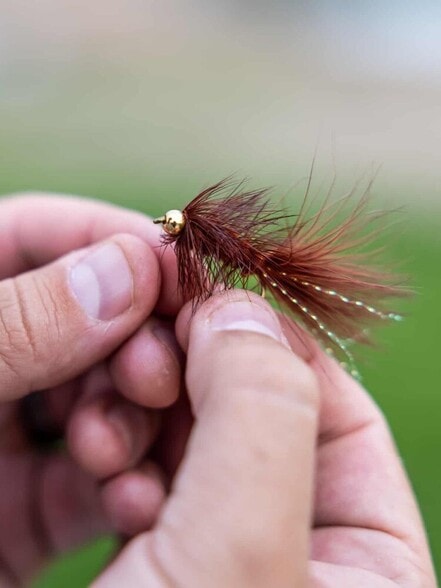 More Photos Of 1583 Spring Bay Rd, Spring Bay Hotel For Sale