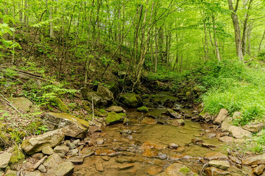 More Photos Of 0 Bidwell Rd, Mill Run Land For Sale