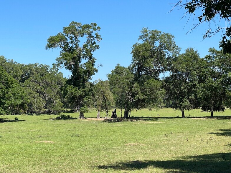 More Photos Of TBD NW 94th Avenue, Alachua Land For Sale
