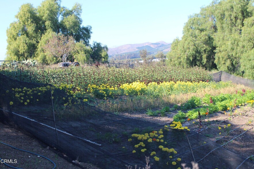 More Photos Of 1672 Los Angeles Avenue, Somis Land For Sale