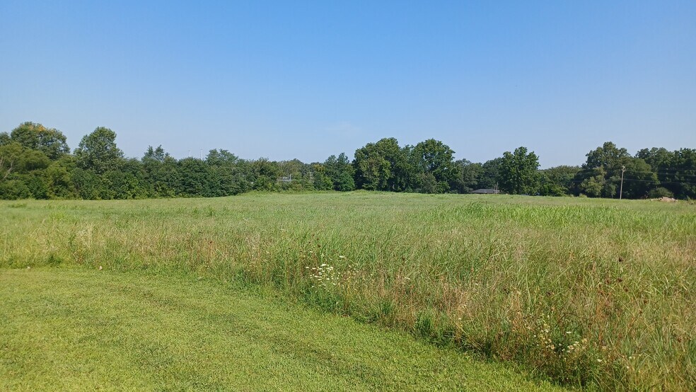 More Photos Of 0000 Hwy 64, Oakland Land For Sale