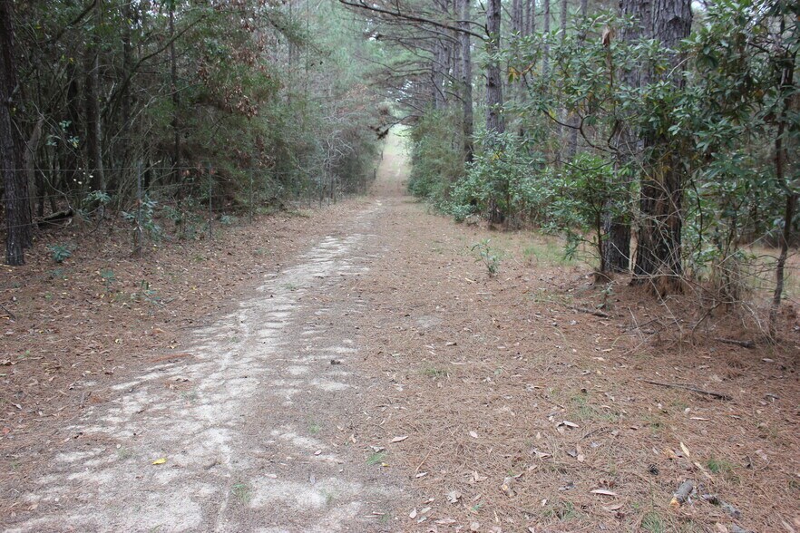 More Photos Of 16046 Honea Rd W, Montgomery Land For Sale