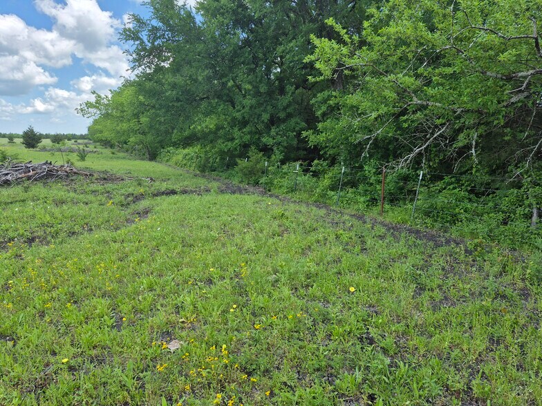 More Photos Of 9561 N TX-50 Hwy, Ladonia Land For Sale