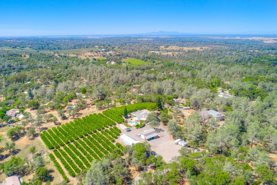 More Photos Of 78 Circle View Dr, Oroville Winery Vineyard For Sale