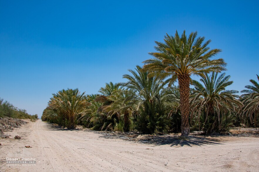 More Photos Of 1095 Midland Rd rd, Blythe Land For Sale
