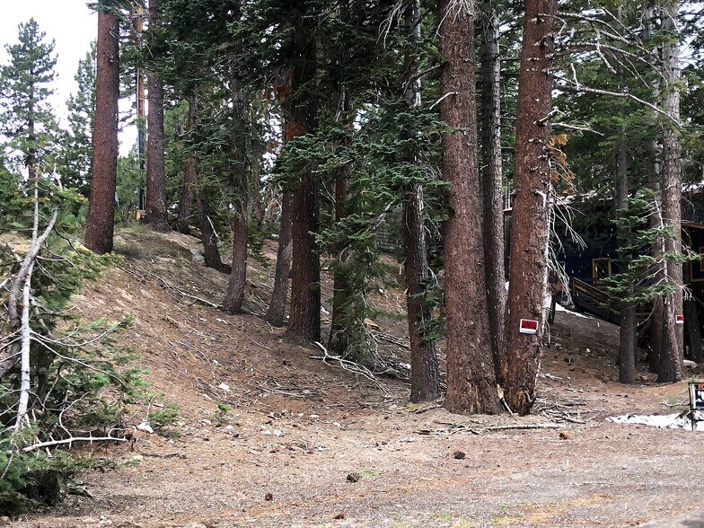 More Photos Of 3 Berner st, Mammoth Lakes Land For Sale