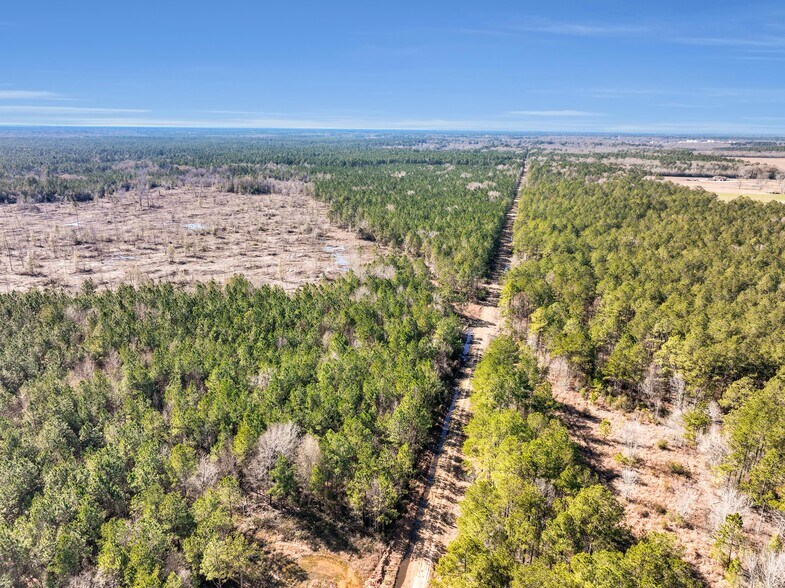 More Photos Of 0000 Hwy105 Hwy, Sour Lake Land For Sale