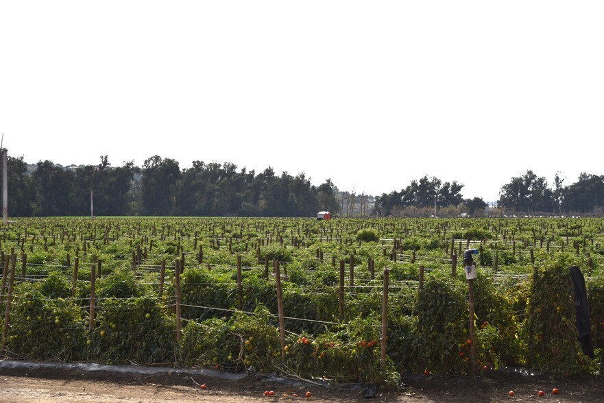 More Photos Of 3425 Wright Rd, Camarillo Land For Sale