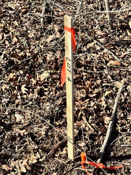 More Photos Of Satcher Road #4 Rd, Taylorsville Land For Sale