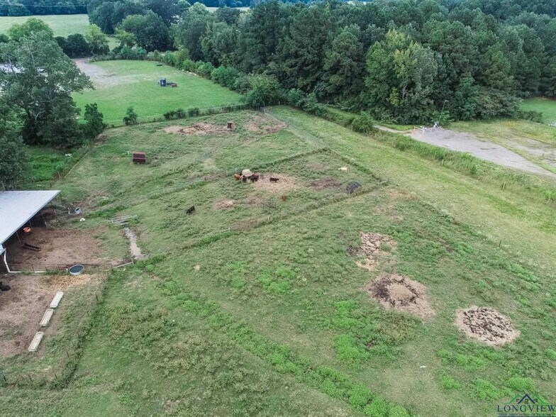 More Photos Of 1024 US Highway 59 N, Carthage Veterinarian Kennel For Sale