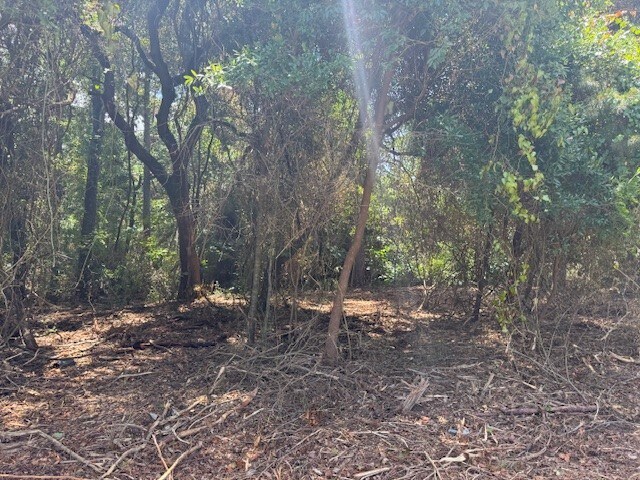 More Photos Of 31060 Cometti Ln, Spanish Fort Land For Sale