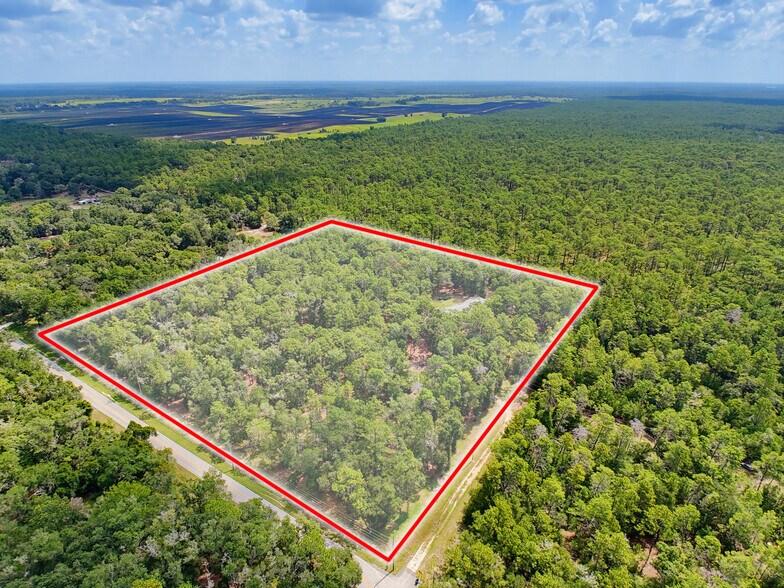 More Photos Of 26311 Willow St, Brooksville Specialty For Sale