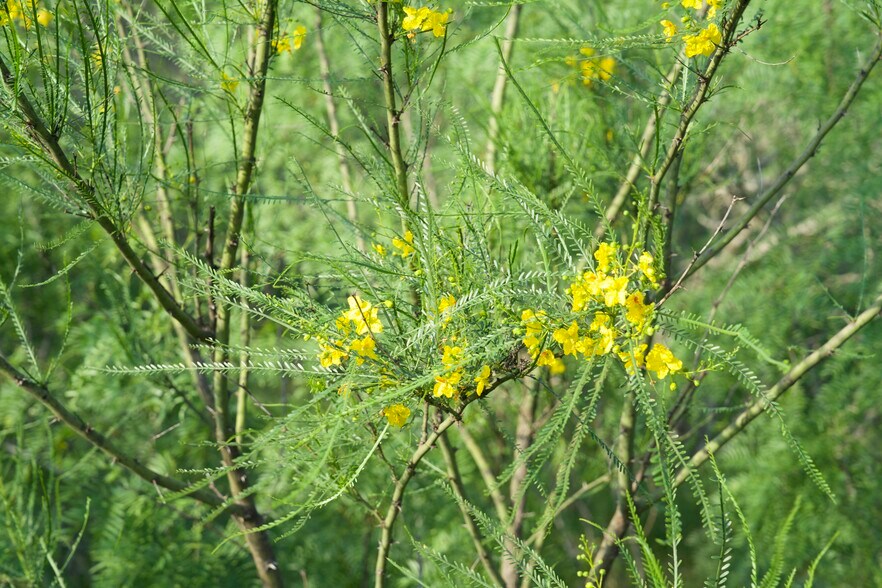 More Photos Of 00 Taylorsville Rd, Red Rock Land For Sale