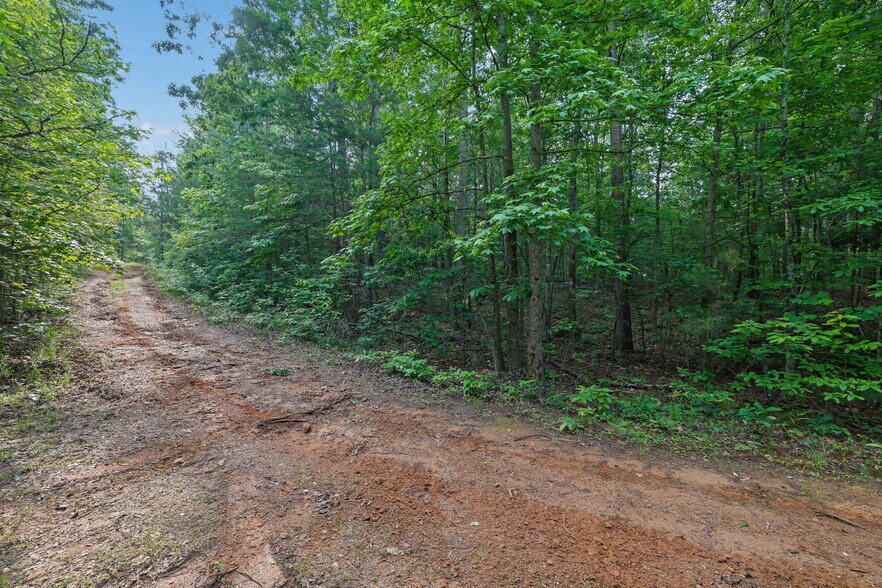 More Photos Of 0 Theodore Cox Cir, Canton Land For Sale