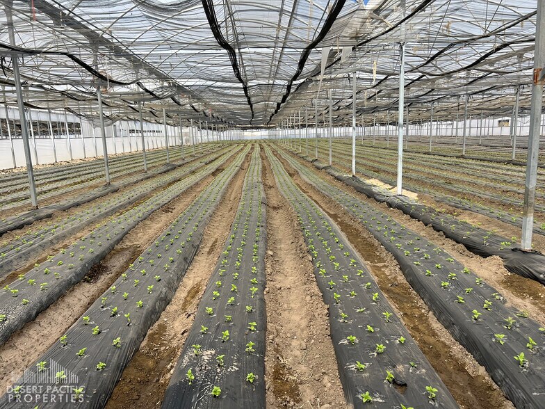 More Photos Of 78100 Harrison St, Thermal Land For Sale