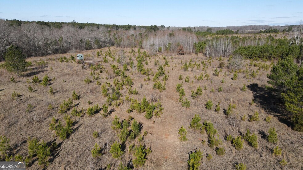 More Photos Of 0 Old Chipey Rd, Pine Mountain Land For Sale