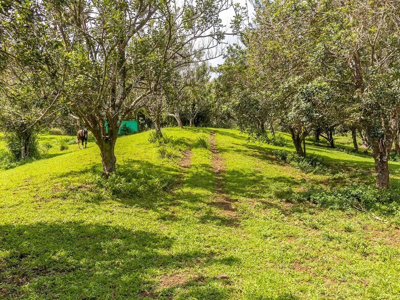 More Photos Of 47-4630 Mauka Cane Haul Rd, Honokaa Land For Sale