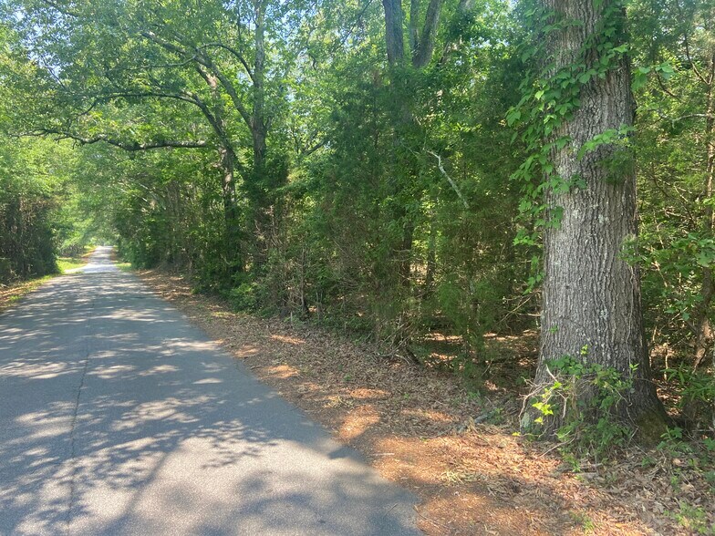 More Photos Of Terry Shop Rd, Fountain Inn Land For Sale