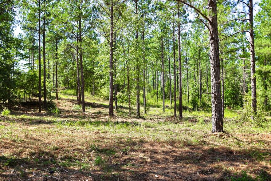 More Photos Of 1392 Fields Rd Fields Rd, Pauline Land For Sale