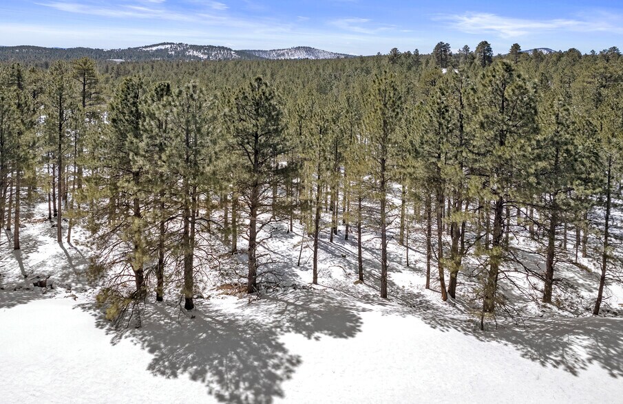 More Photos Of 0 Route 66, Flagstaff Land For Sale