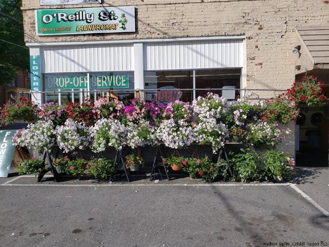 More Photos Of 9 E Oreilly St, Kingston Freestanding For Sale