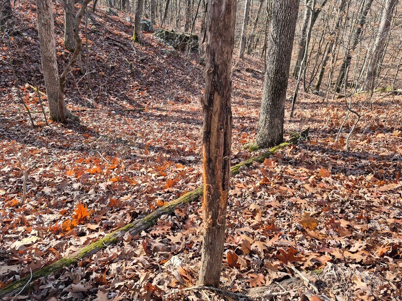 More Photos Of Logan School Rd. (30.2+/- Acres), New Florence Land For Sale