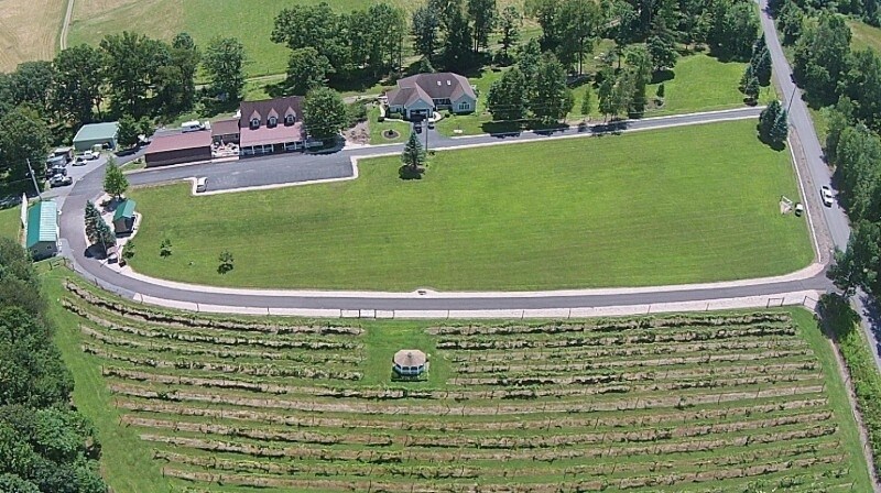 More Photos Of 861 Bailey Rd, Curwensville Winery Vineyard For Sale