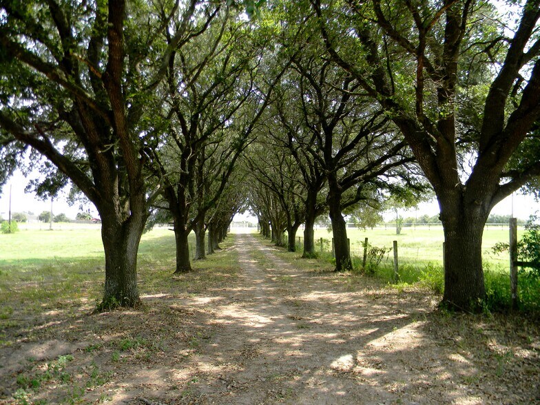 More Photos Of 17845 Fm 362 Rd, Waller Land For Sale