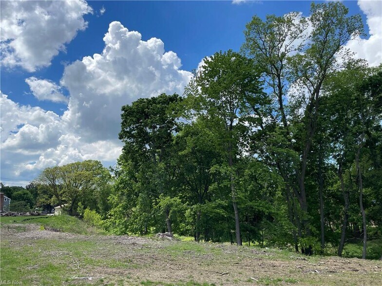 More Photos Of 9025 Jackson st, Mentor Land For Sale