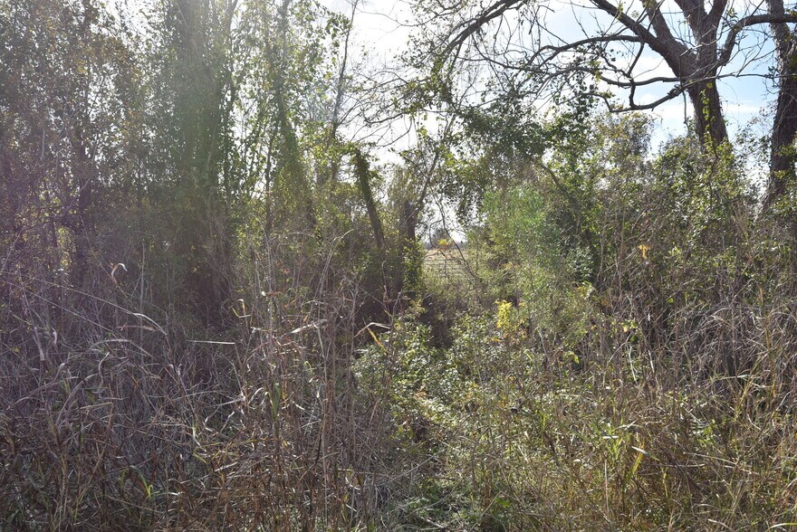 More Photos Of 201 County Road 224, Wharton Land For Sale