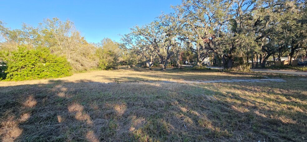 Primary Photo Of 4501 Clewis Ave, Tampa Land For Sale