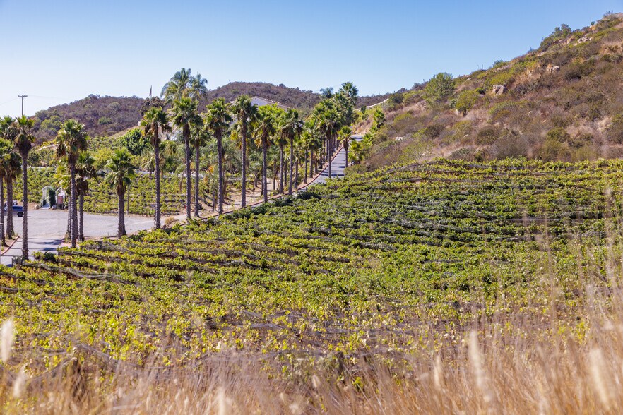 More Photos Of 2286 Sunshine Mountain Rd, San Marcos Winery Vineyard For Sale