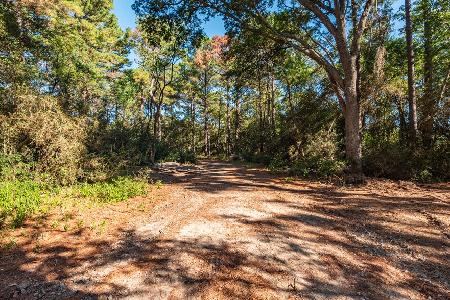 More Photos Of 225 Foster Street, Alvin Land For Sale