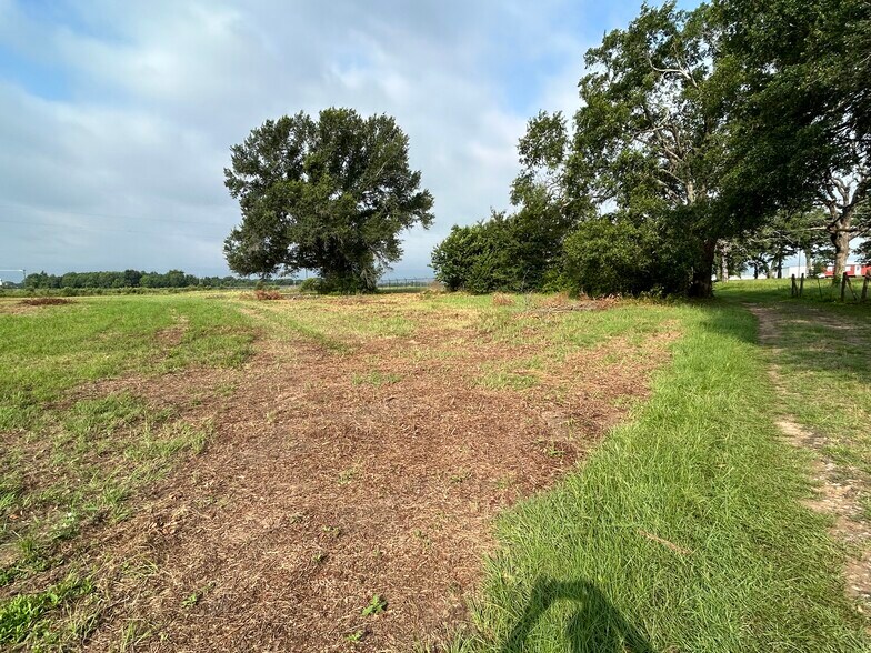More Photos Of South US Hwy 79/84, Palestine Land For Sale
