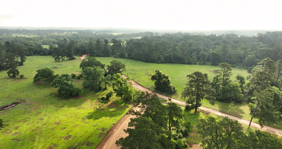 More Photos Of 2268 FM 1486, Montgomery Land For Sale