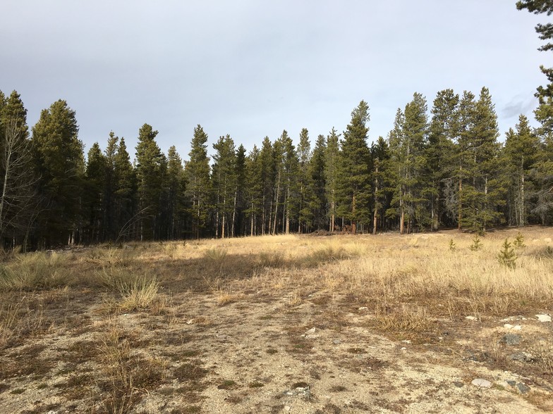 Primary Photo Of 609 Mountain View Dr, Leadville Land For Sale