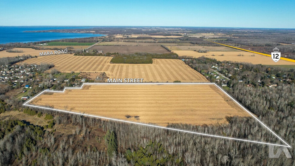 Primary Photo Of Main St E, Brock Land For Sale