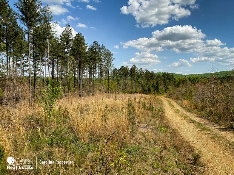 More Photos Of 1084 Stoney Pointe, Lexington Land For Sale