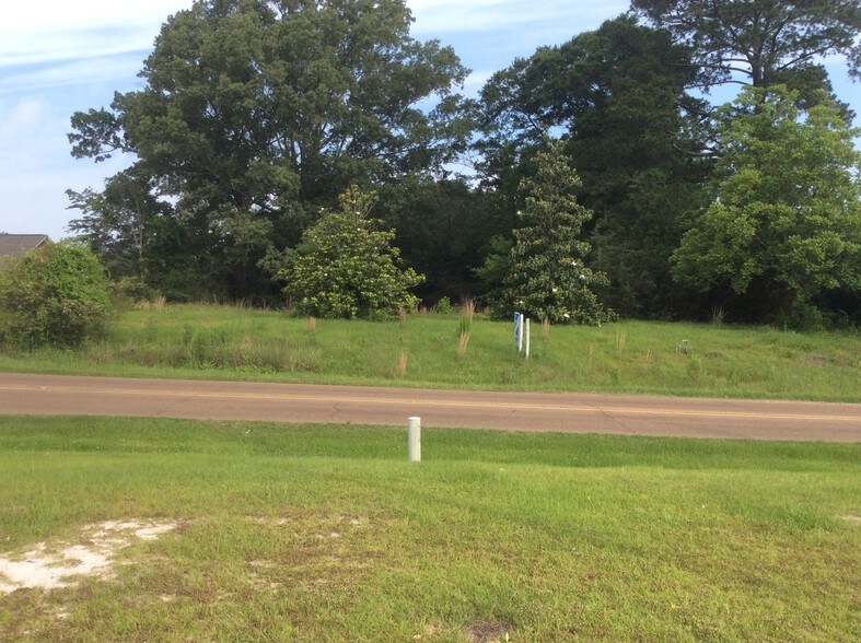 More Photos Of 5741 Terry Rd, Byram Land For Sale