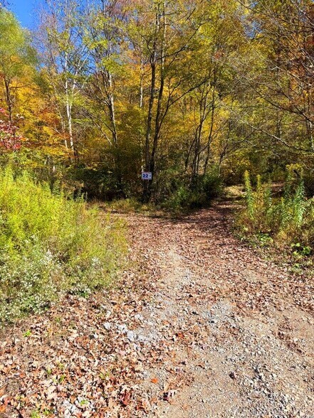 More Photos Of 0 Sewell Creek Rd, Meadow Bridge Land For Sale