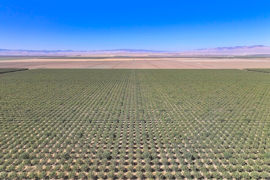 W. Tornado Avenue 15 Hwy, Huron, CA 93234 Land For Sale