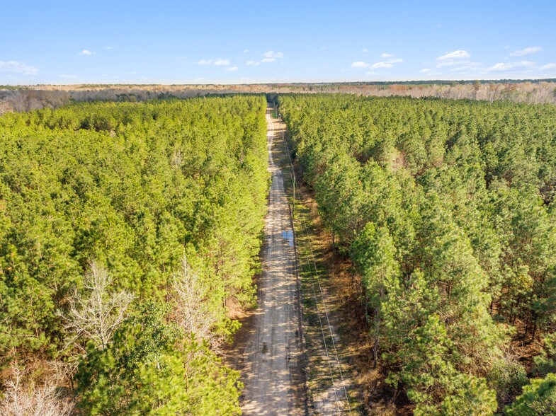 More Photos Of 7471 Hwy 155, Saline Land For Sale