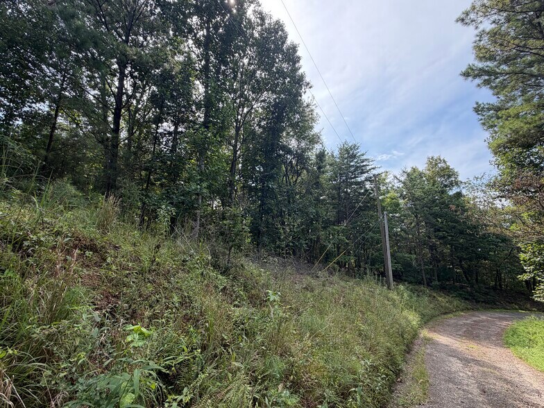 More Photos Of Fuller Mountain Rd, Fairmount Land For Sale