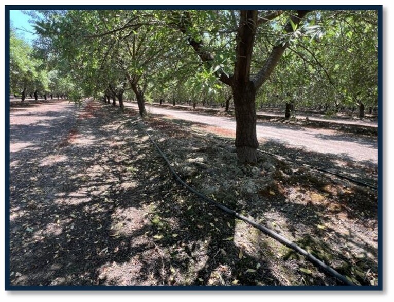 More Photos Of Avenue 192, Strathmore Land For Sale
