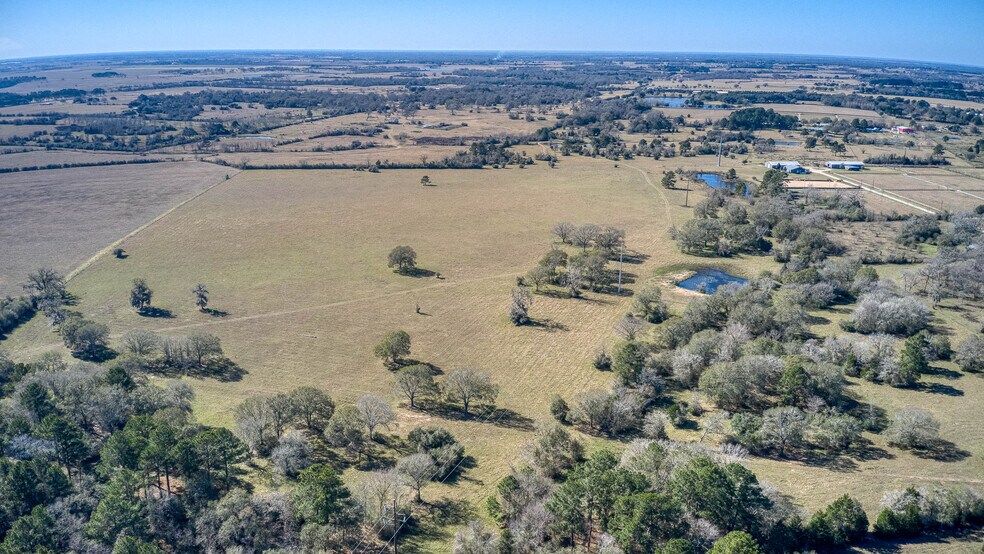 More Photos Of 26266 Fields Store Rd., Waller Land For Sale