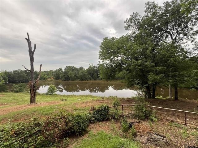 More Photos Of 12251 FM 16 E, Winona Land For Sale