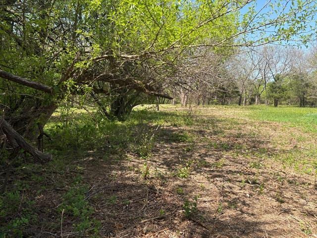 Primary Photo Of 0000 Rockport Rd, Sherman Land For Sale