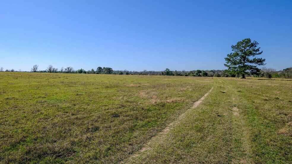 More Photos Of 26266 Fields Store Rd., Waller Land For Sale
