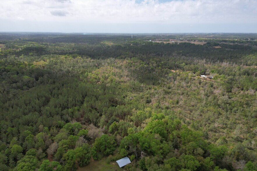 More Photos Of 12960 County Road 48, Silverhill Land For Sale