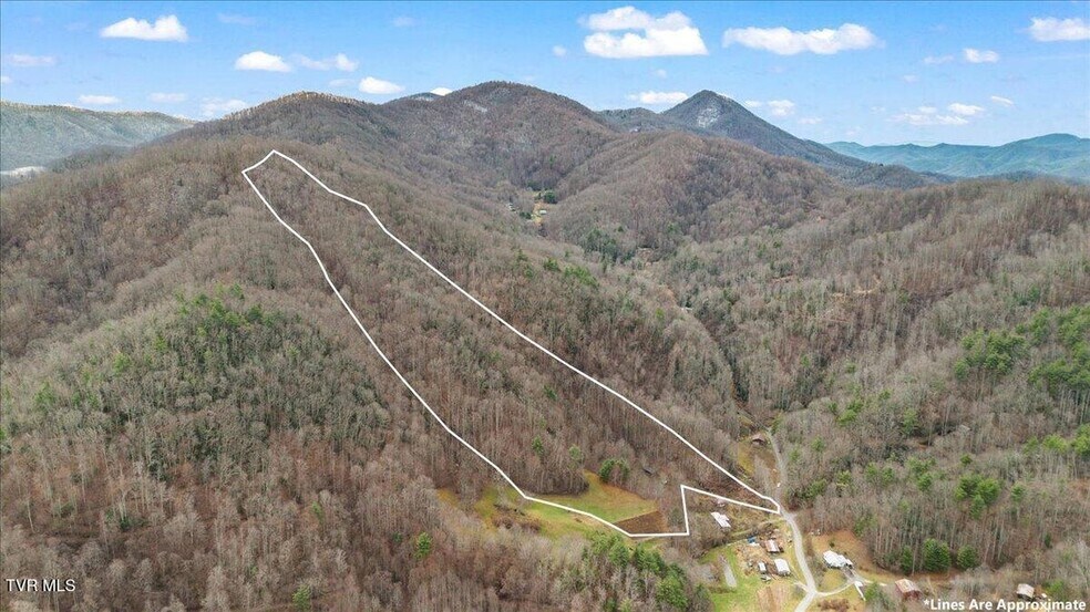More Photos Of TBD Stockton Rd rd, Flag Pond Land For Sale